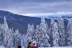 IMG-20220207-WA0004