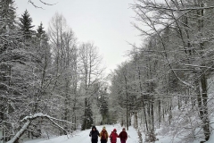 IMG-20220207-WA0012