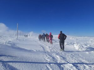 Na zdjęciu grupa ludzi idących ścieżką pokrytą śniegiem. Ujęcie zrobione jest od tyłu.