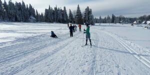 Na zdjęciu grupa osób jeżdzi na nartach biegowych na polanie.