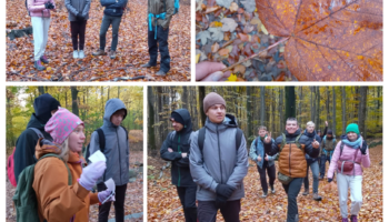 Kolaż czterech zdjęć wykonanych w czasie wyjazdu w ramach projektu ołpen dor na Ślężę. Uczestnicy wyprawy są w lesie, zdjęcia wykonane jesienią. Na jednym ze zdjęć jest dłoń trzymająca żółty, jesienny liść.