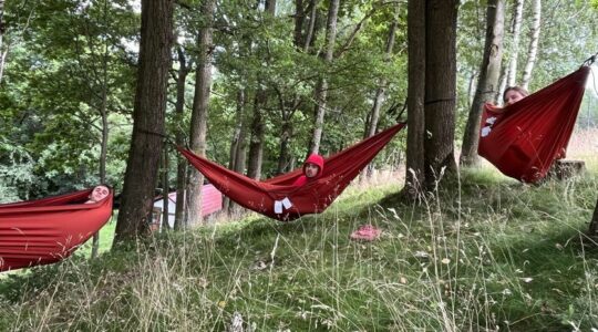 Zdjęcie wykonane w lesie, wśród zielonych drzew rozwieszone są trzy czerwone hamaki, w każdym odpoczywa uczestnik projektu ołpen dor.