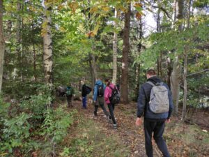 Na zdjęciu grupa ludzi z plecakami idąca leśną ścieżką jesienią.