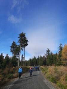 Na zdjęciu grupa osób idzie leśną asfaltową drogą, na tle błękitne niebo i drzewa iglaste.