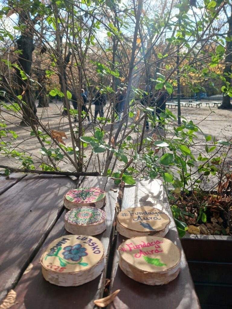 Stolik w parku, na nim okrągłe drewniane przedmioty pomalowane przez uczestników grupy roboczej projektu Mam tę moc. Na przedmiotach są nazwy różnych organizacji.