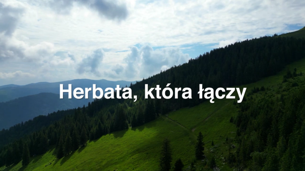 Zdjęcie górskiego krajobrazu z białym napisem: Herbata, która łączy.